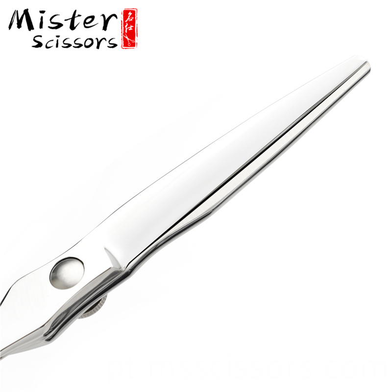 Tesoura de barbeiro de 6,0 polegadas 6.0 inch Barber Scissors